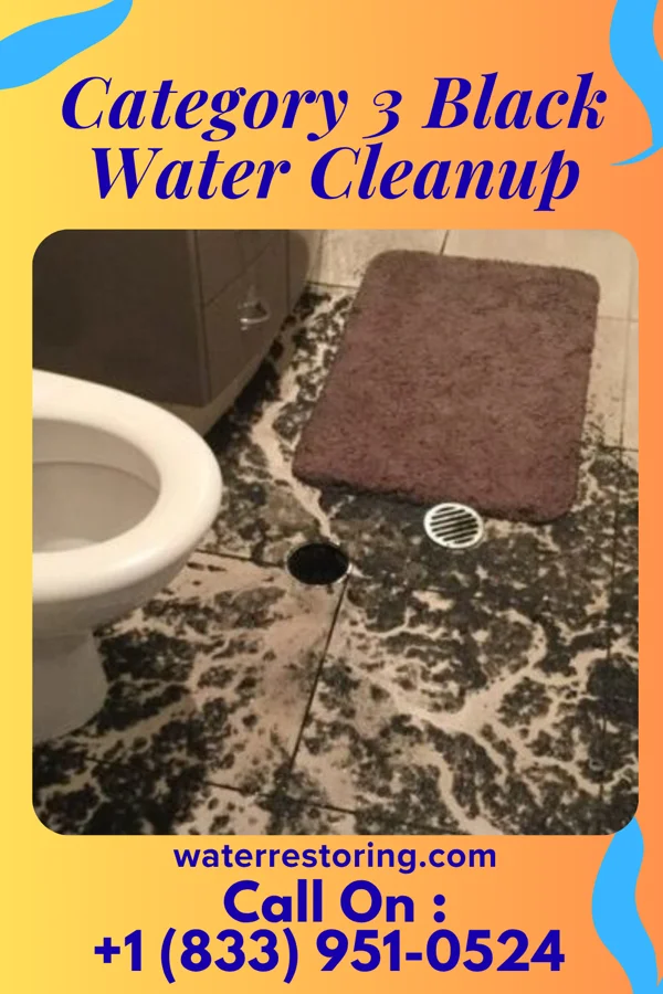 Category 3 Black Water Cleanup in Shiremanstown, PA